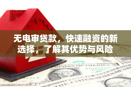 保康无电审贷款，快速融资的新选择，了解其优势与风险