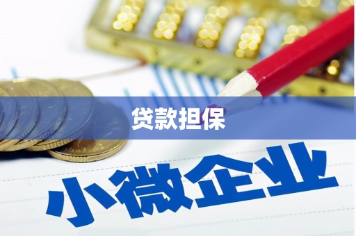 泗阳贷款担保