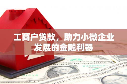 苍溪工商户贷款,助力小微企业发展的金融利器 苍溪工商户贷款,助力小微企业发展的金融利器