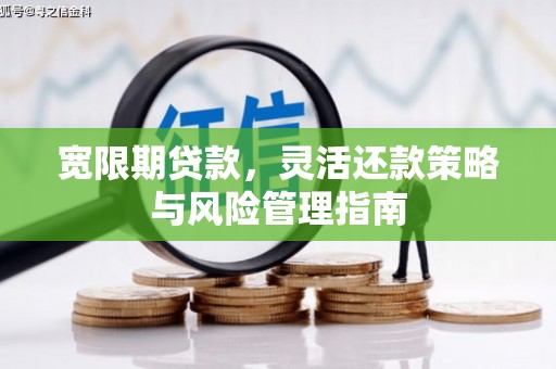 内湖宽限期贷款，灵活还款策略与风险管理指南