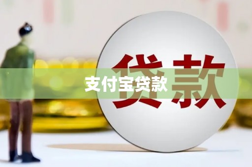 田林支付宝贷款