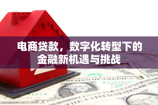 长葛电商贷款，数字化转型下的金融新机遇与挑战