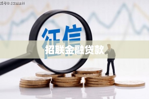洛宁招联金融贷款