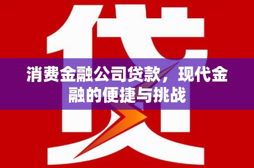 天水消费金融公司贷款，现代金融的便捷与挑战