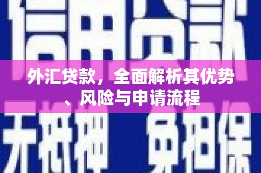 太和外汇贷款，全面解析其优势、风险与申请流程