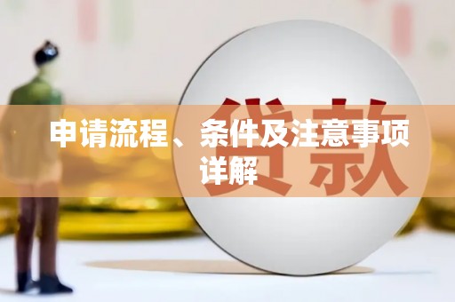 苍南申请流程、条件及注意事项详解