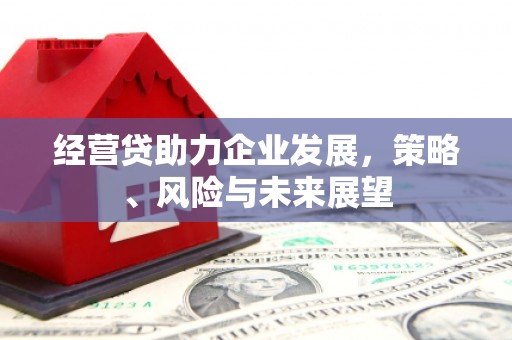 曲水经营贷助力企业发展，策略、风险与未来展望