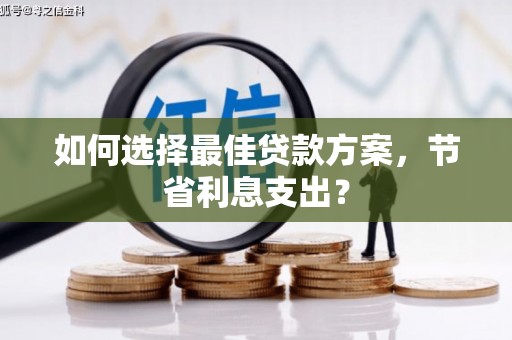 嘉禾如何选择最佳贷款方案，节省利息支出？