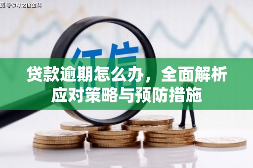 中国香港贷款逾期怎么办，全面解析应对策略与预防措施