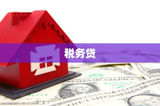 大林税务贷
