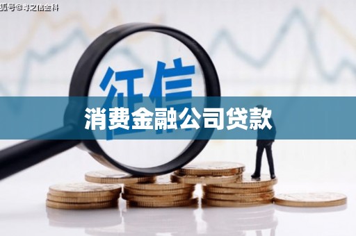 枣阳消费金融公司贷款