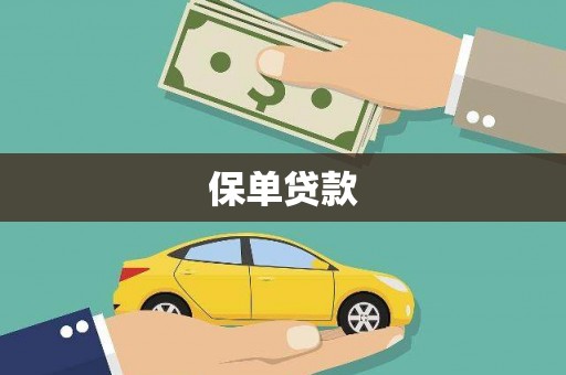 蒲城保单贷款