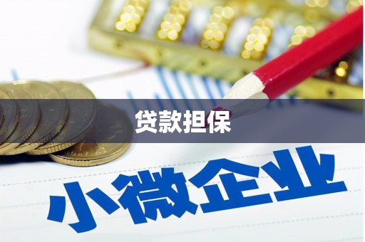 沙坪坝贷款担保