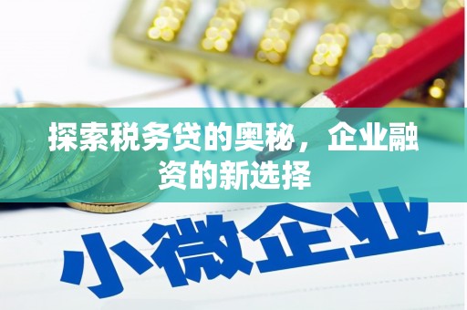 循化探索税务贷的奥秘，企业融资的新选择
