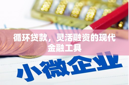 庄浪循环贷款，灵活融资的现代金融工具
