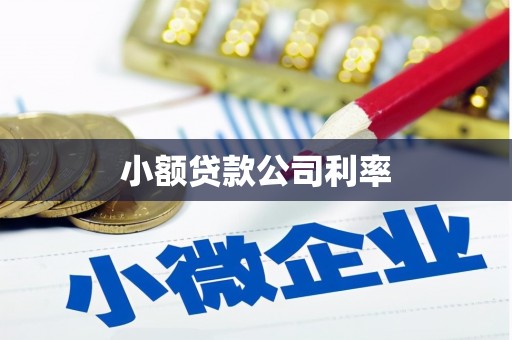 雾峰小额贷款公司利率