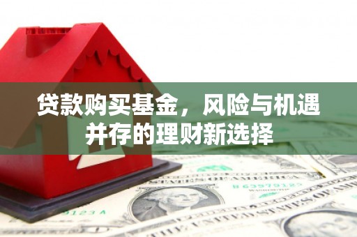 丰城贷款购买基金，风险与机遇并存的理财新选择