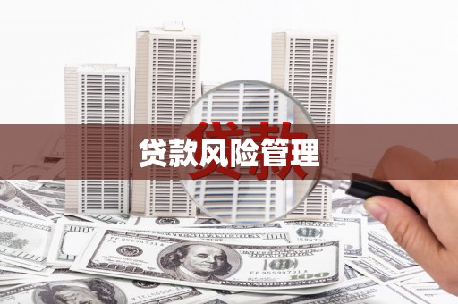 达孜贷款风险管理