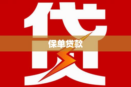 海陵保单贷款