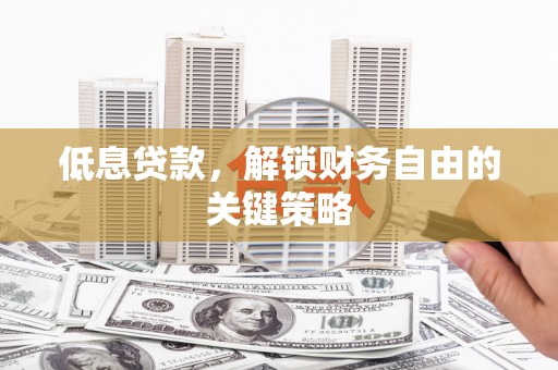 巴塘低息贷款，解锁财务自由的关键策略