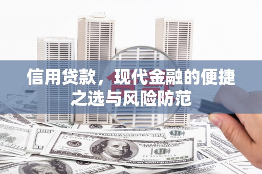 朱家尖信用贷款，现代金融的便捷之选与风险防范