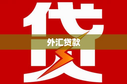 东昌府外汇贷款