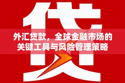 长安外汇贷款，全球金融市场的关键工具与风险管理策略