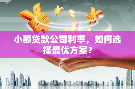 疏附小额贷款公司利率，如何选择最优方案？