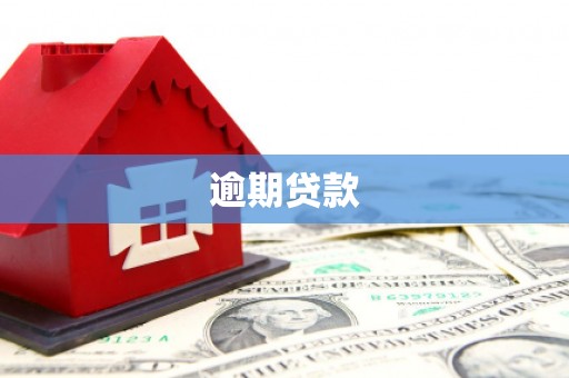 三水逾期贷款