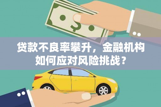 宽甸贷款不良率攀升，金融机构如何应对风险挑战？