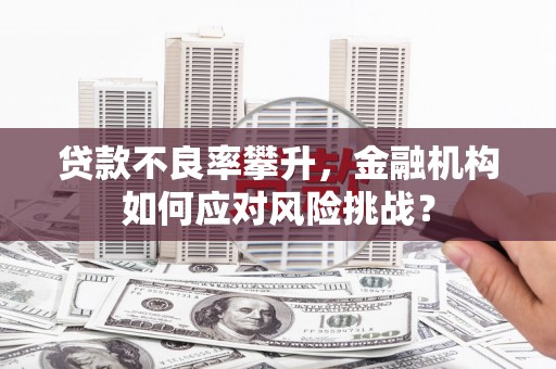 大朗贷款不良率攀升，金融机构如何应对风险挑战？
