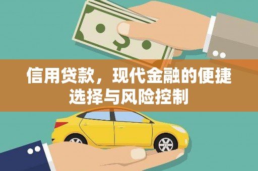 南乐信用贷款，现代金融的便捷选择与风险控制