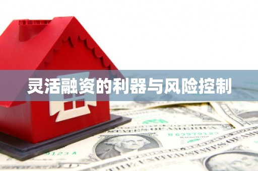 黄南灵活融资的利器与风险控制