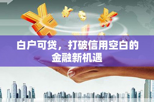 官渡白户可贷，打破信用空白的金融新机遇