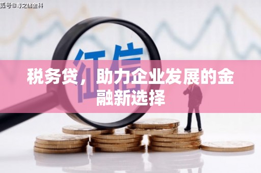 苏尼特右旗税务贷，助力企业发展的金融新选择