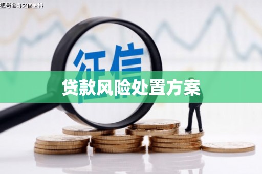 新竹贷款风险处置方案