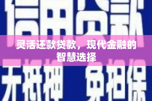 蒲城灵活还款贷款，现代金融的智慧选择