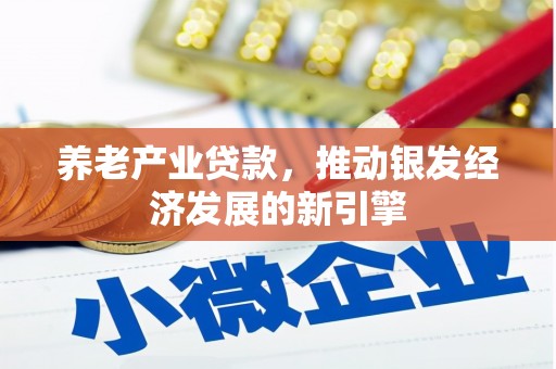 晋宁养老产业贷款，推动银发经济发展的新引擎