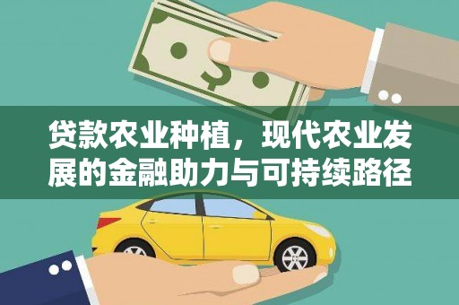 阳春贷款农业种植，现代农业发展的金融助力与可持续路径
