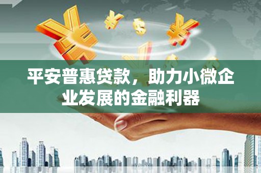 普格平安普惠贷款，助力小微企业发展的金融利器