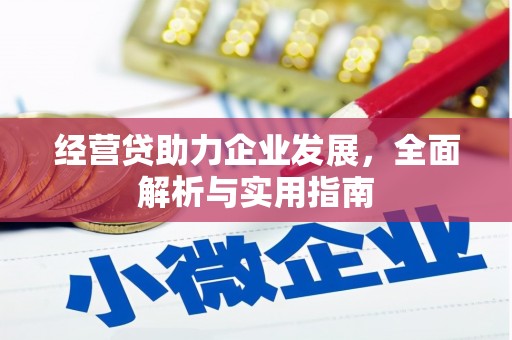 施甸经营贷助力企业发展，全面解析与实用指南