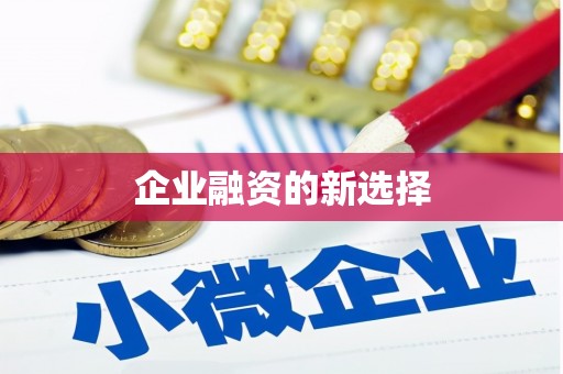 盐边企业融资的新选择