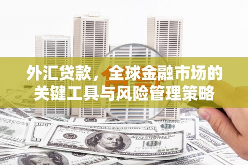 葵青外汇贷款，全球金融市场的关键工具与风险管理策略