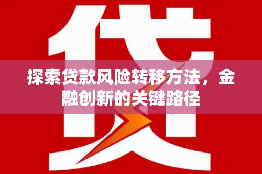 苗栗探索贷款风险转移方法，金融创新的关键路径