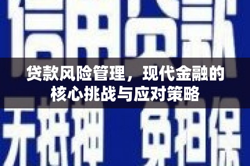 大邑贷款风险管理，现代金融的核心挑战与应对策略