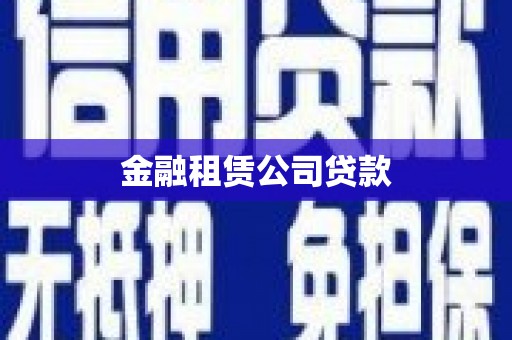 茂南金融租赁公司贷款