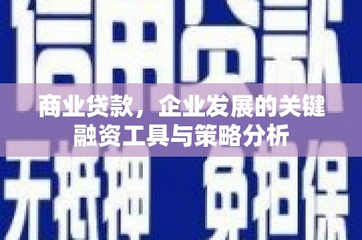 保税港区商业贷款，企业发展的关键融资工具与策略分析