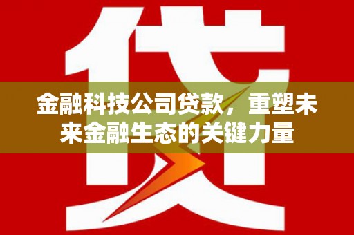 乌伊岭金融科技公司贷款，重塑未来金融生态的关键力量