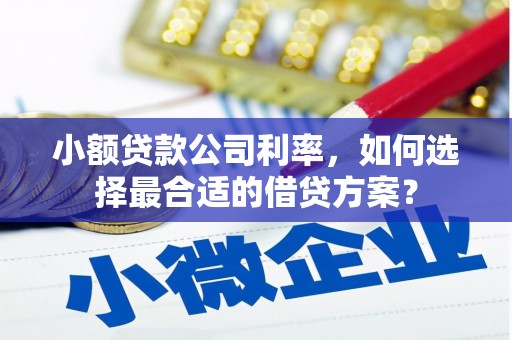 张北小额贷款公司利率，如何选择最合适的借贷方案？