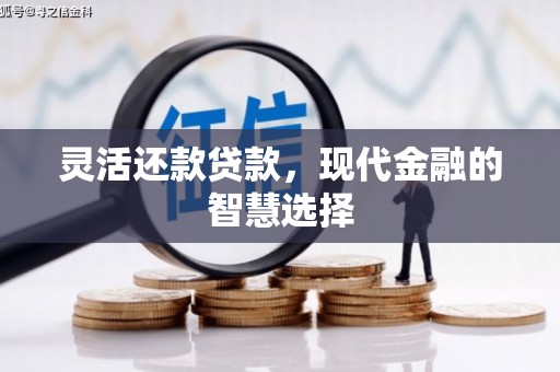 大安灵活还款贷款，现代金融的智慧选择